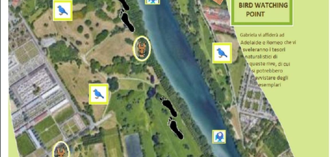 Screenshot_20221020-100043_Drive